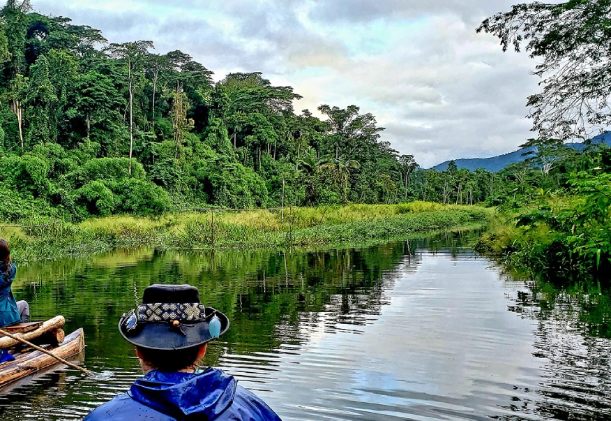 Tambopata Tours